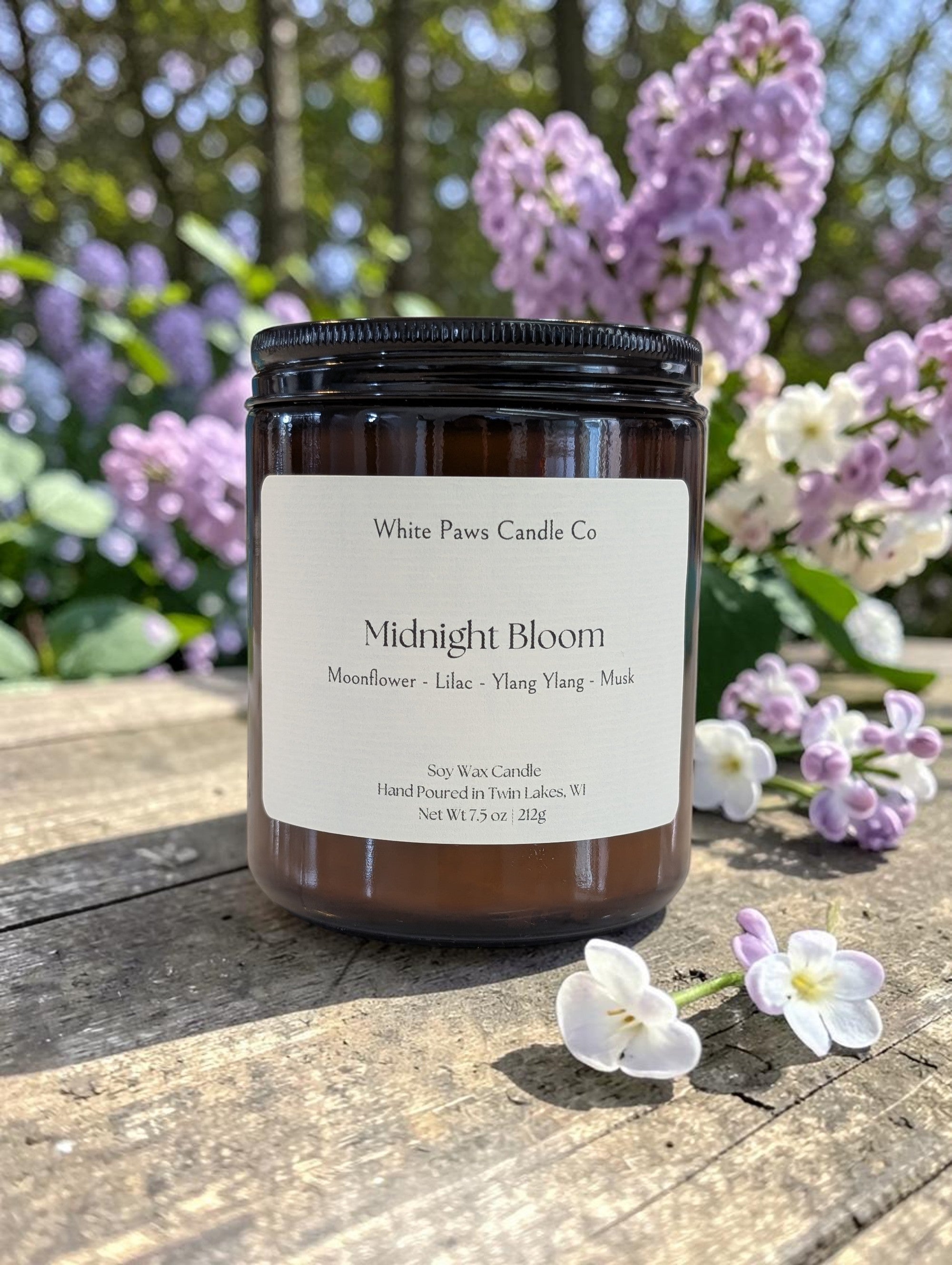 Midnight Bloom
