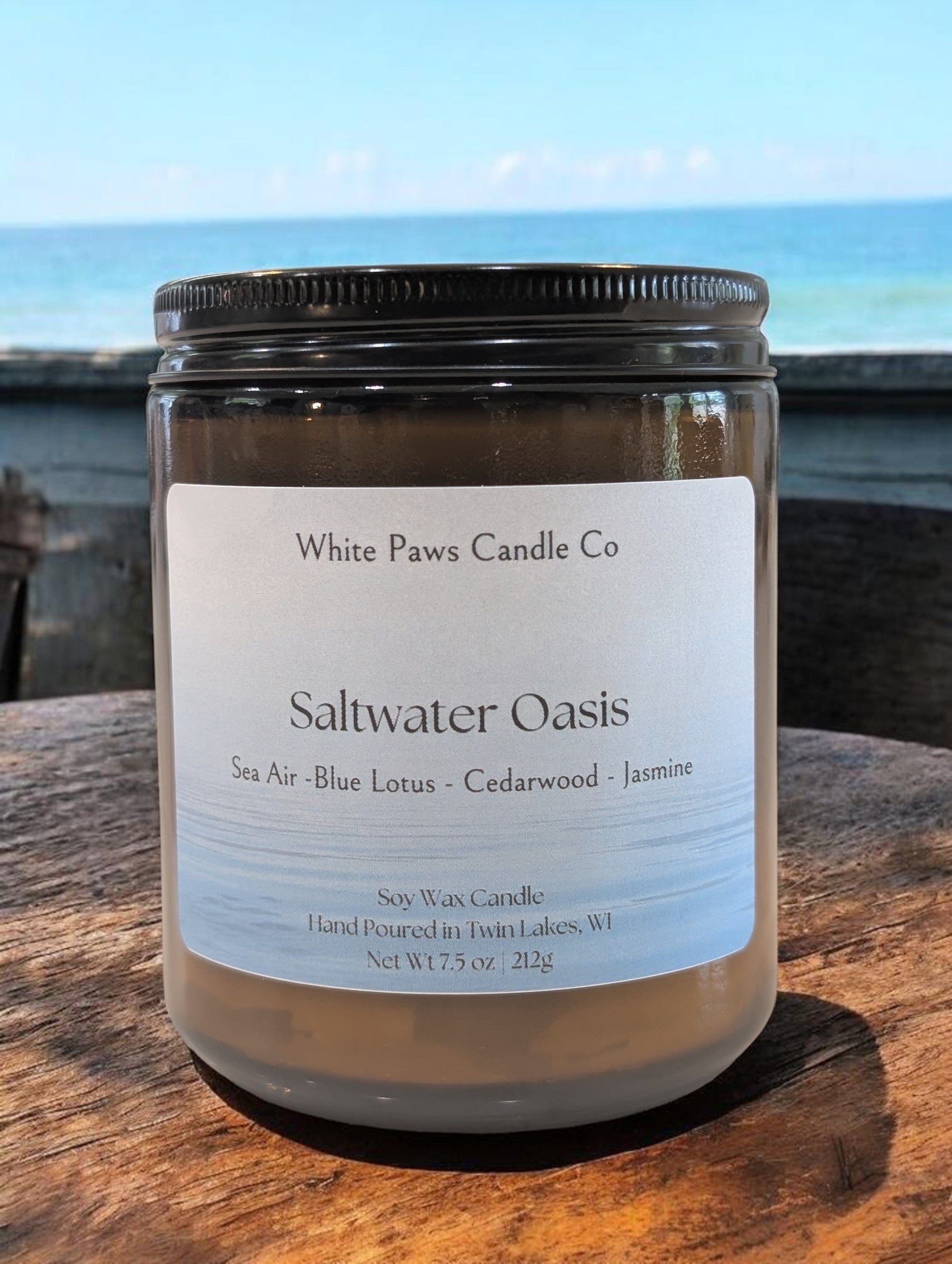 Saltwater Oasis