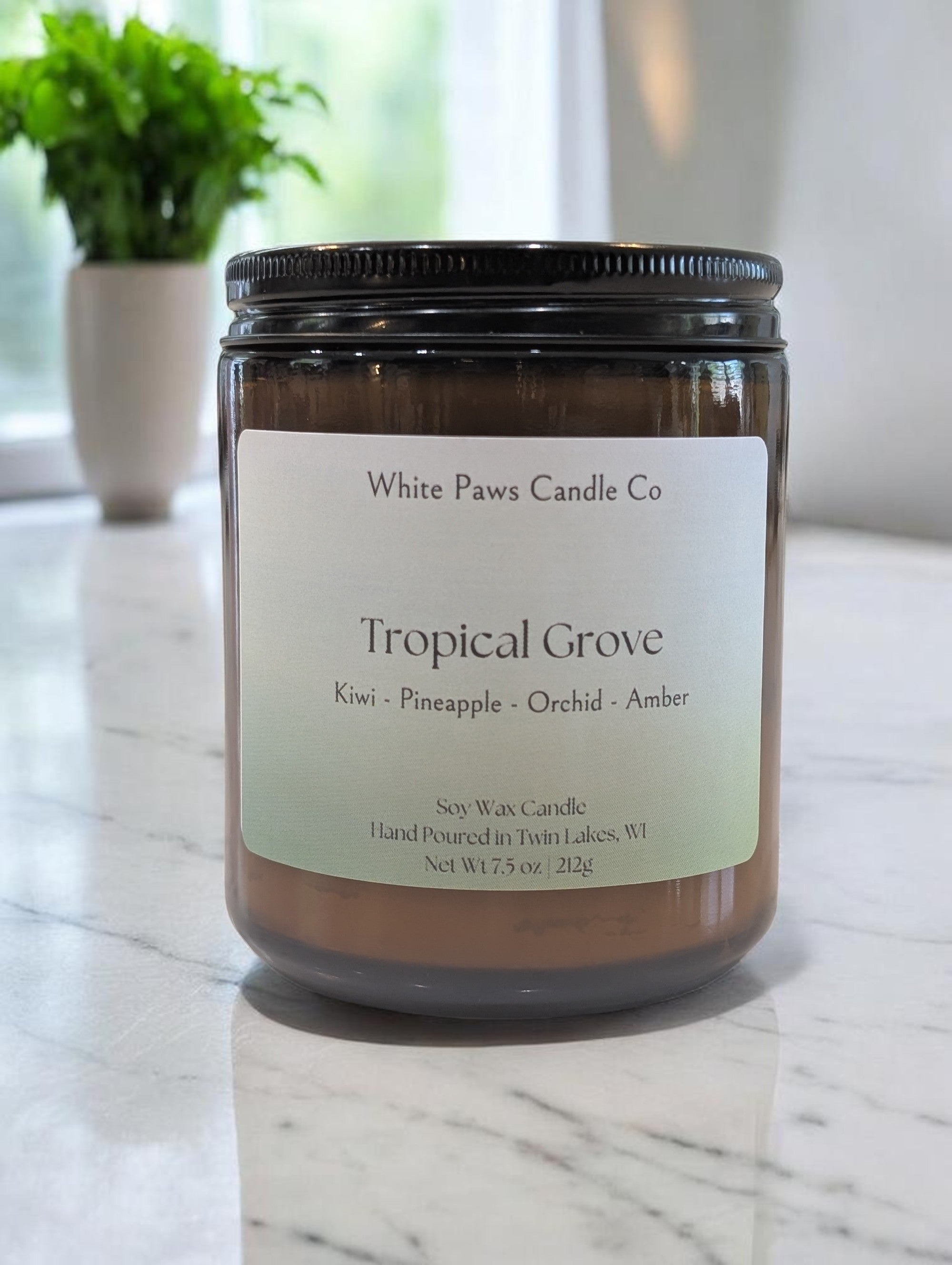 Tropical Grove